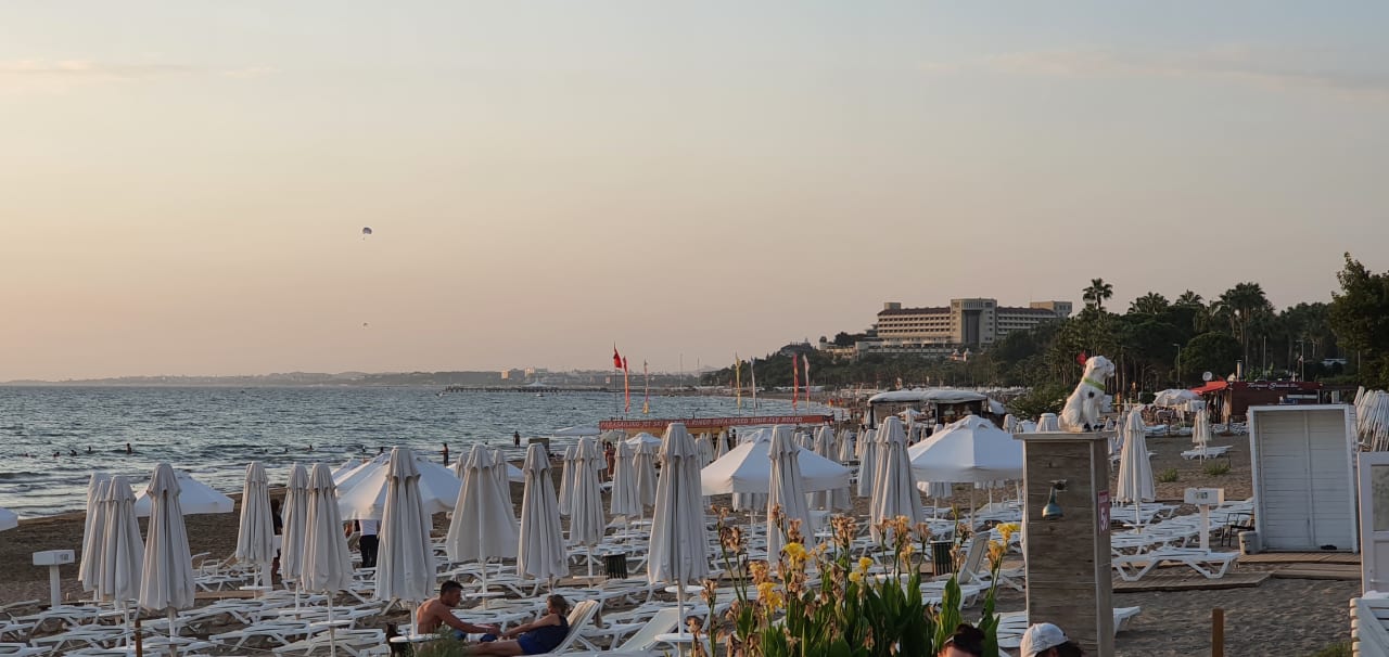 Strand Side Star Beach