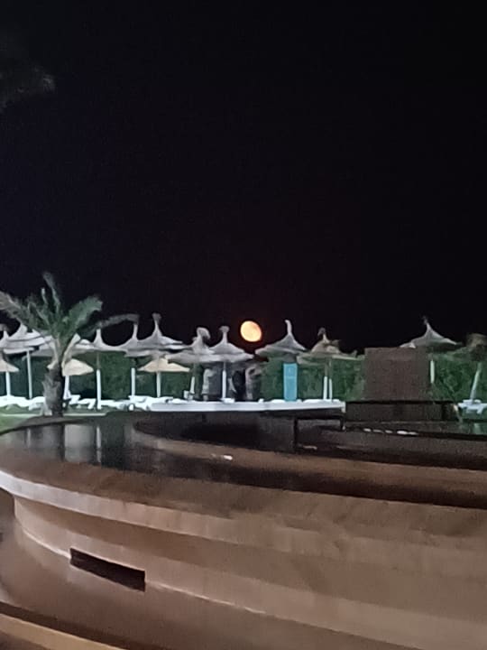 Gartenanlage Iberostar Waves Averroes