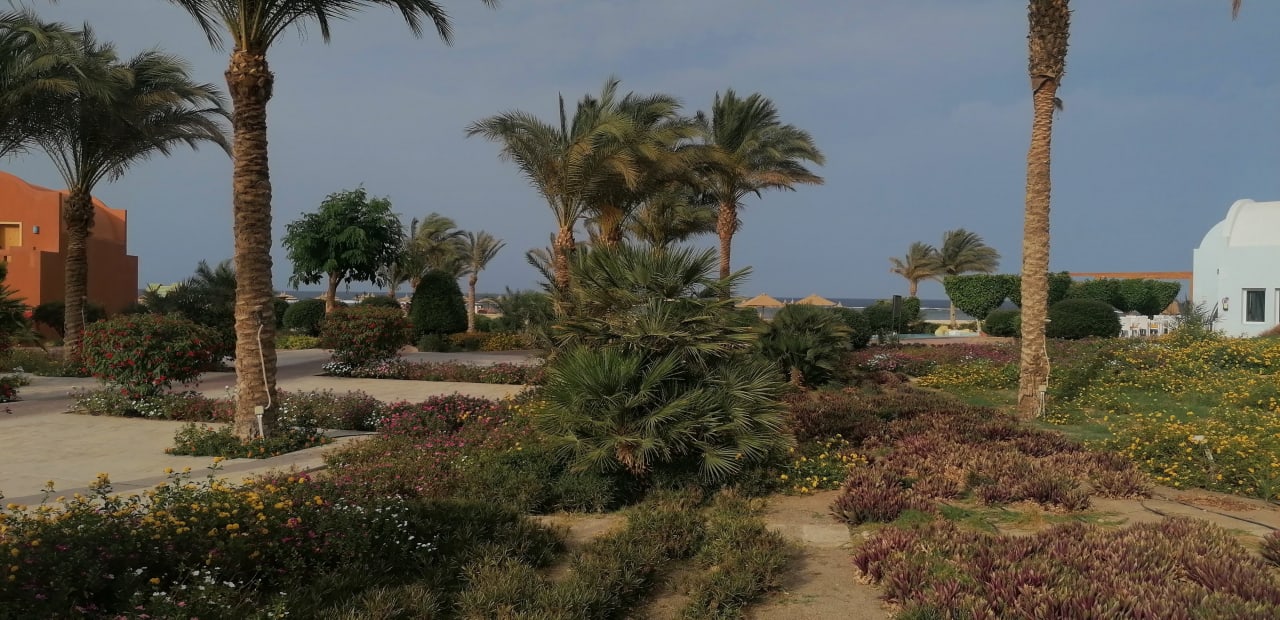 Garten Novotel Marsa Alam Beach Resort