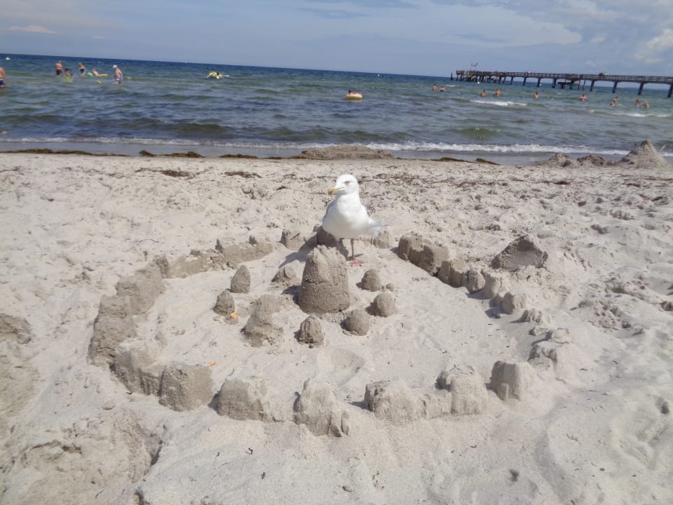 Strand Seehotel Großherzog von Mecklenburg