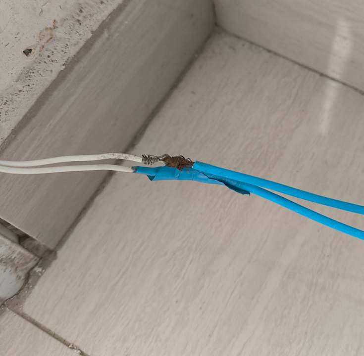 Zimmer Globales America