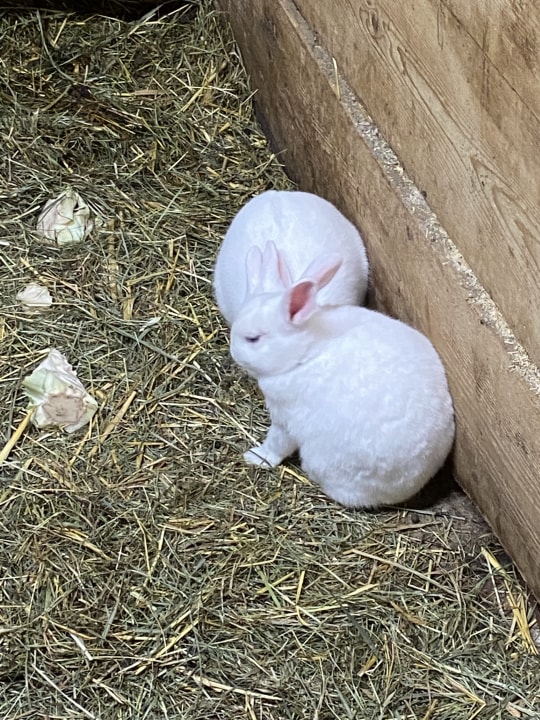 Sonstiges Alpenhotel Kindl