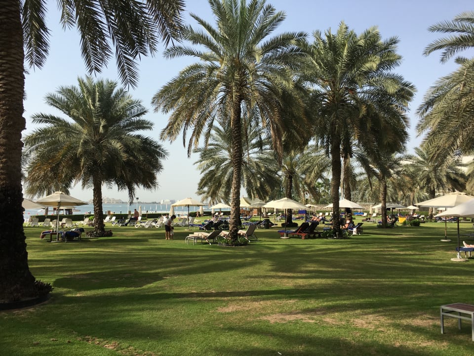 Pool Sheraton Jumeirah Beach Resort