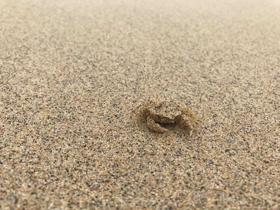 Strand BLUESEA Jandia Luz