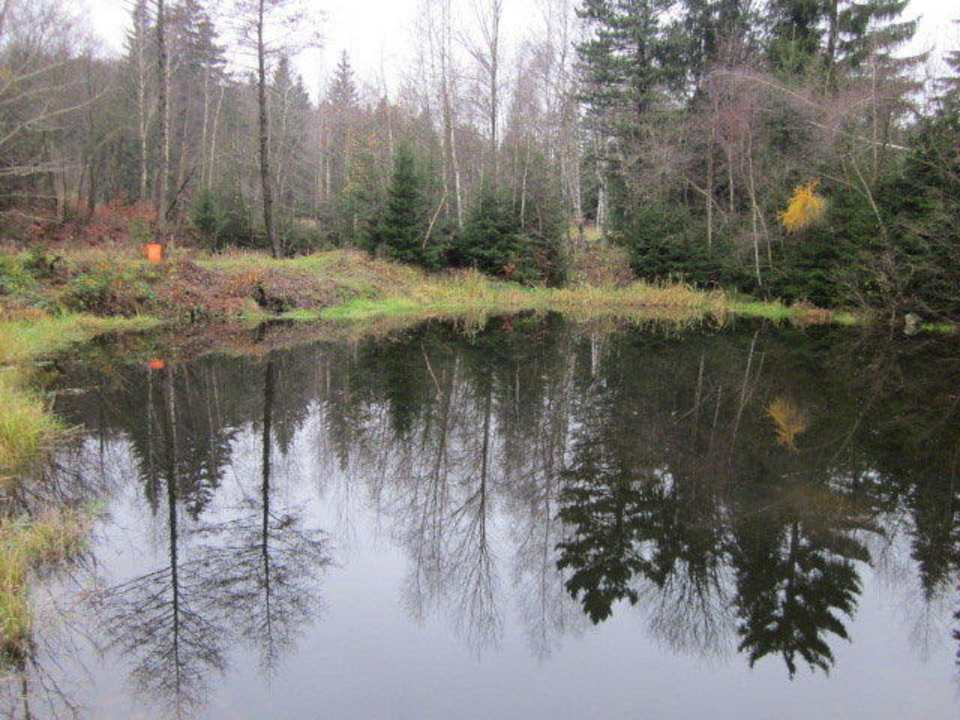 Leśniczówka Willa Anna Willa Anna