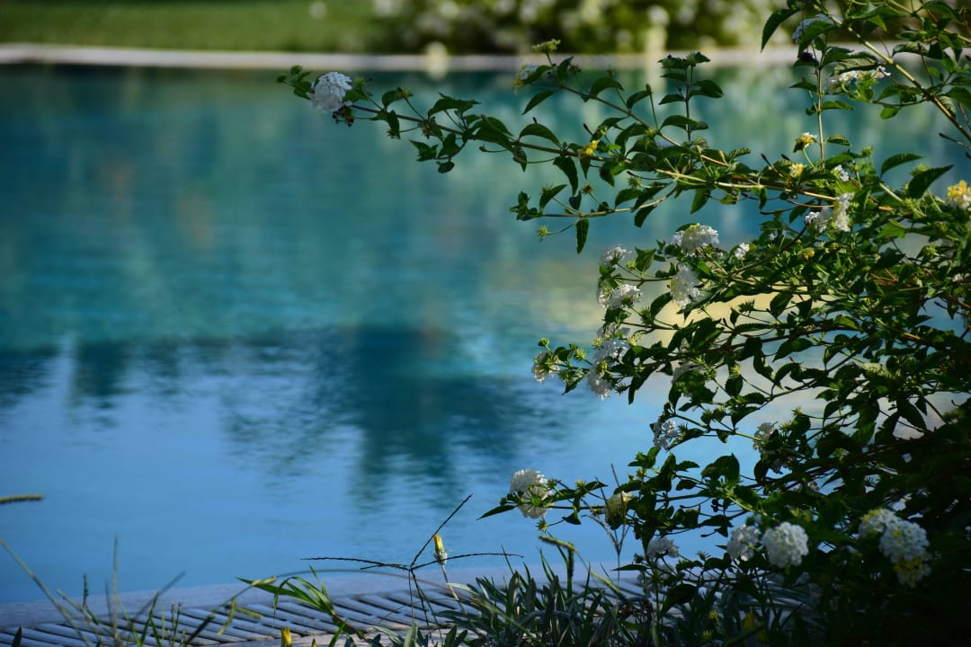 Pool St. George's Bay Country Club