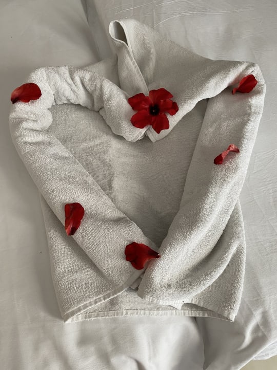 Zimmer Hotel Club Tropicana & Spa