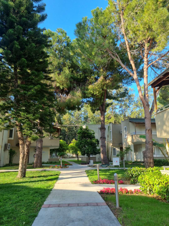 Gartenanlage Club Sidelya Hotel