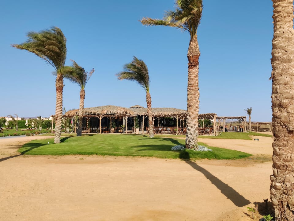 Gastro Steigenberger Resort Alaya Marsa Alam - Red Sea - Adults only