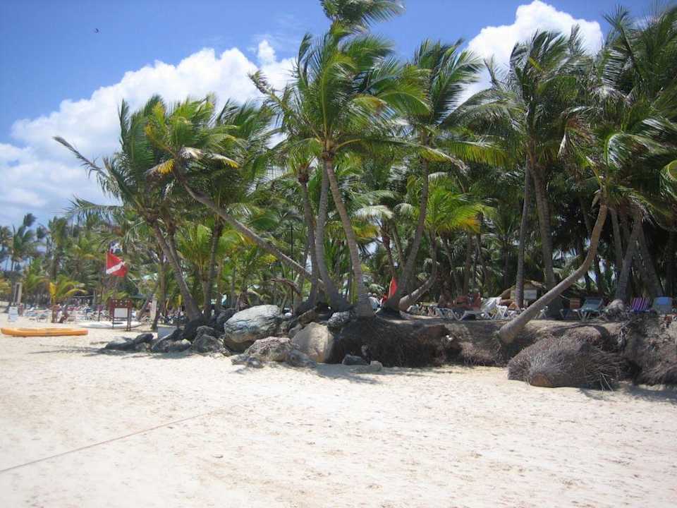 Hotelstrand-/ Strandbereich Hotel Riu Palace Bavaro