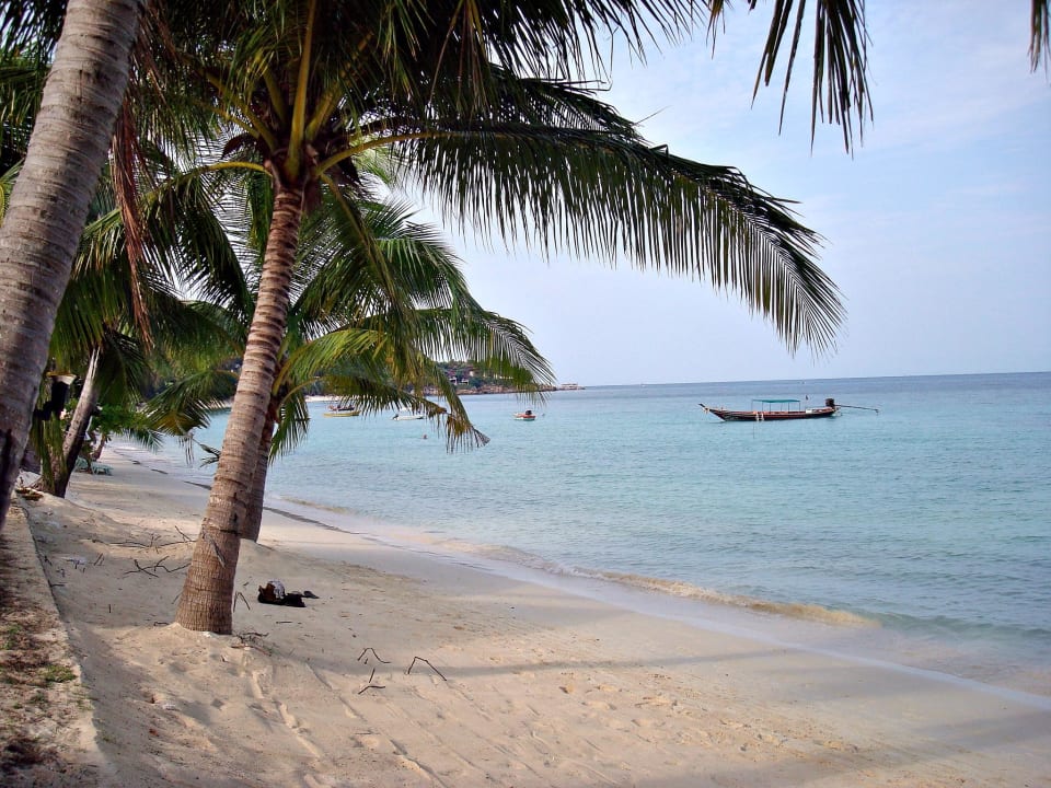 Strand am Morgen Long Bay Resort Koh Phangan