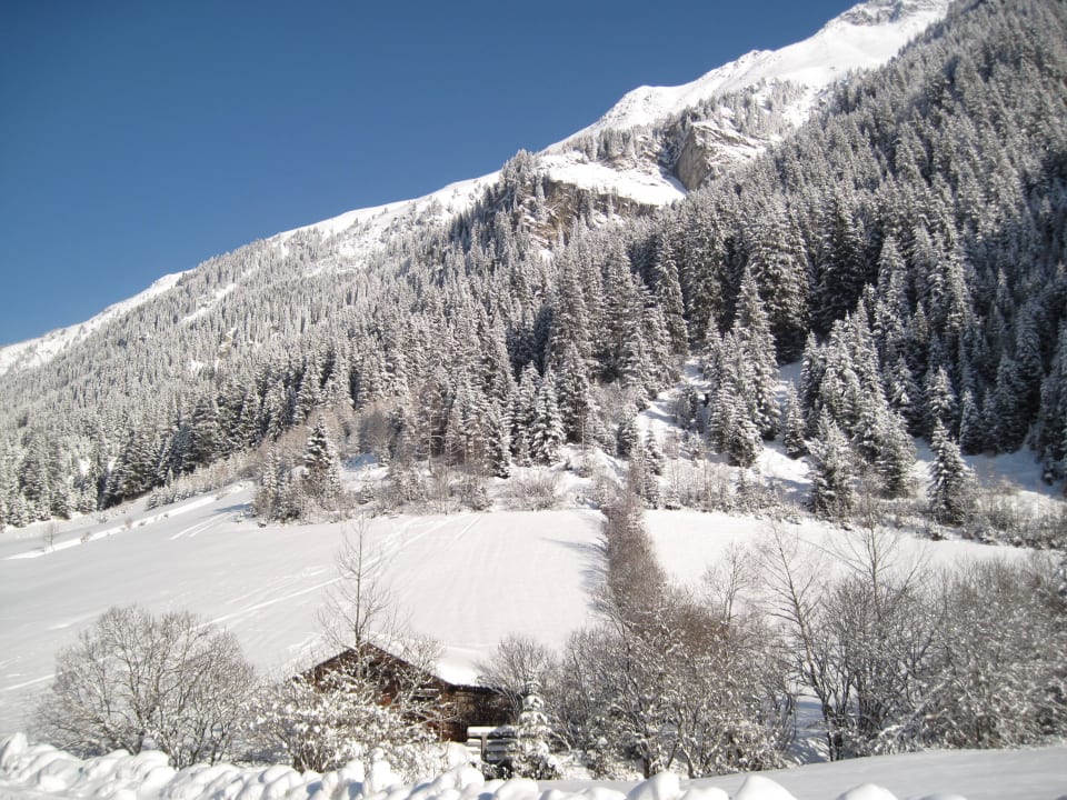Ausblick Ostseite Haus Alpina