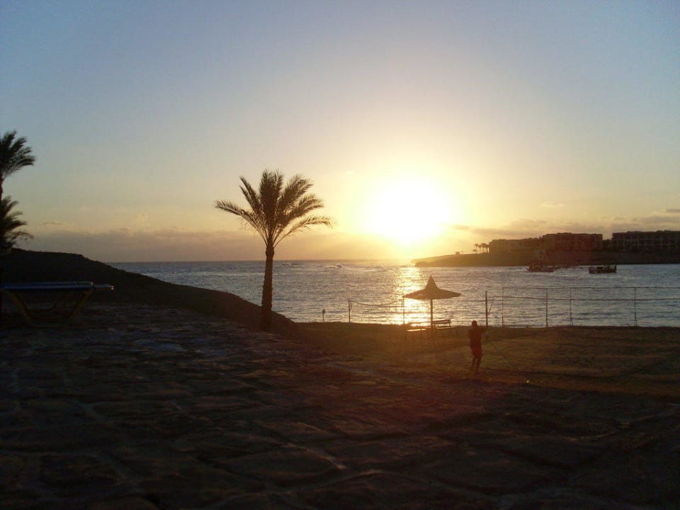 Sonnenaufgang Steigenberger Coraya Beach - Adults only