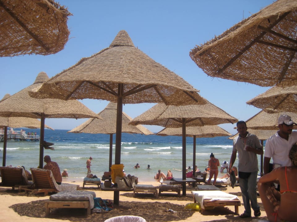 Das ist der Hotelstrand  Serenity Alpha Beach