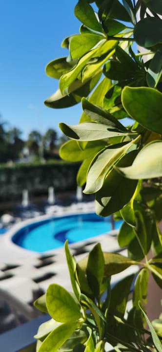 Pool Mary Hotel Side