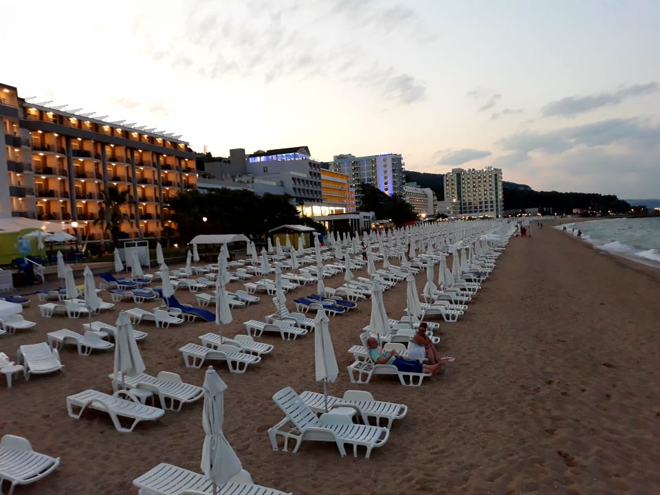 Strand Sentido Marea