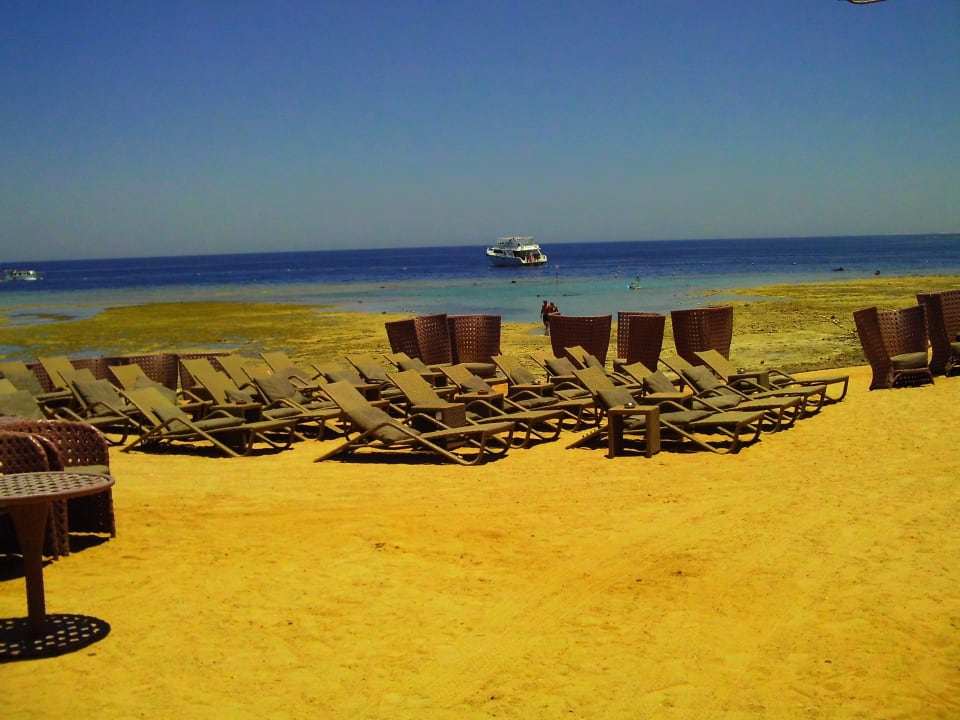 Public Viewing am Strand Makadi Spa - Adults only