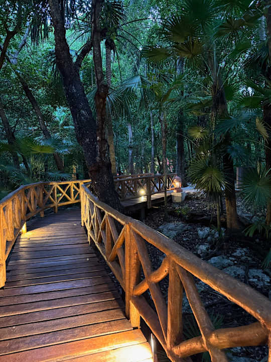 Gartenanlage Iberostar Waves Tucan