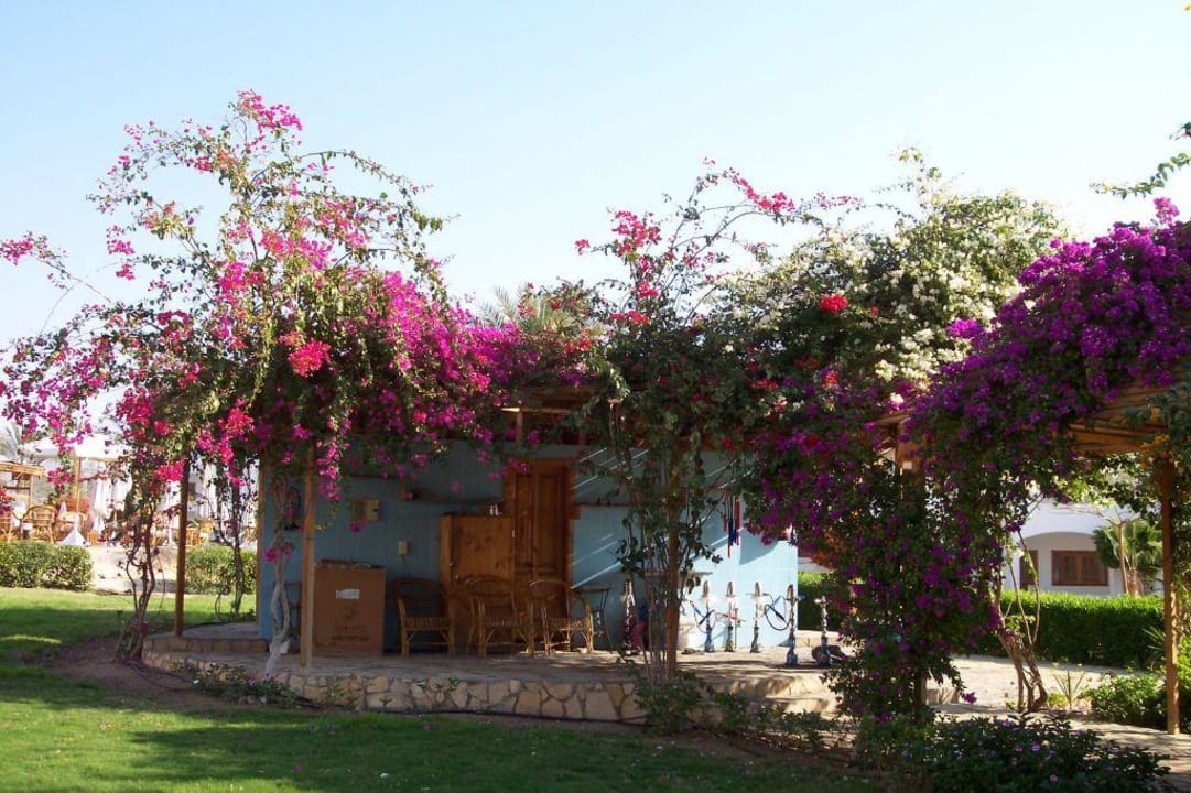 die Shisha-Ecke Happy Life Village