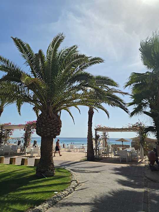 Strand Fort Arabesque Resort, Spa & Villas