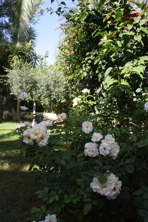 Diverses High Beach Resort