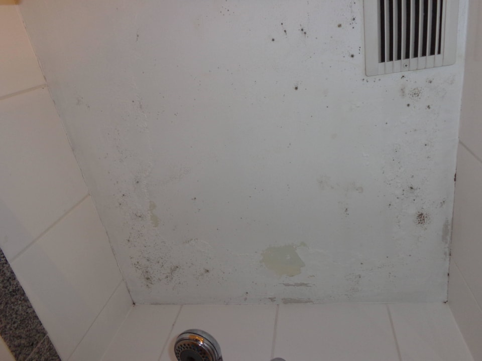 Decke der Dusche Garner Hotel Vienna