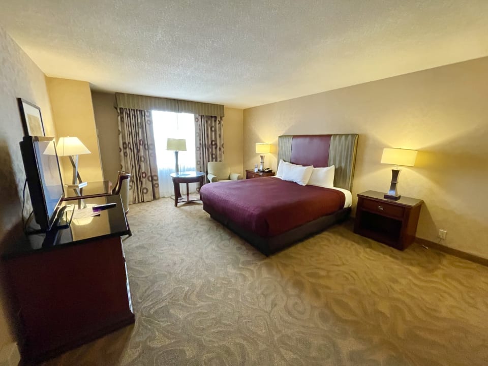 Zimmer Hotel Circus Circus