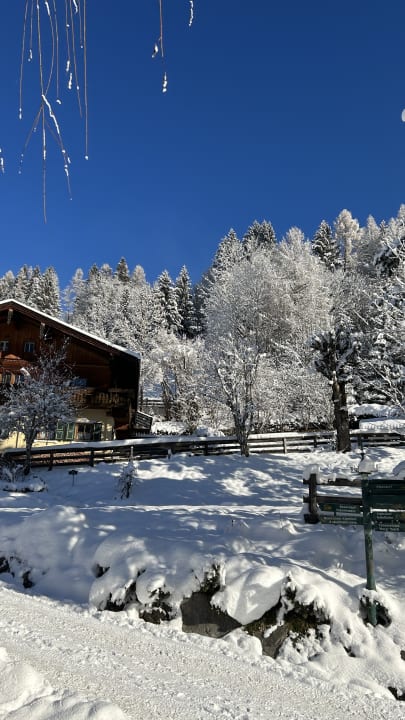 Sonstiges                    Gut Berg Naturhotel