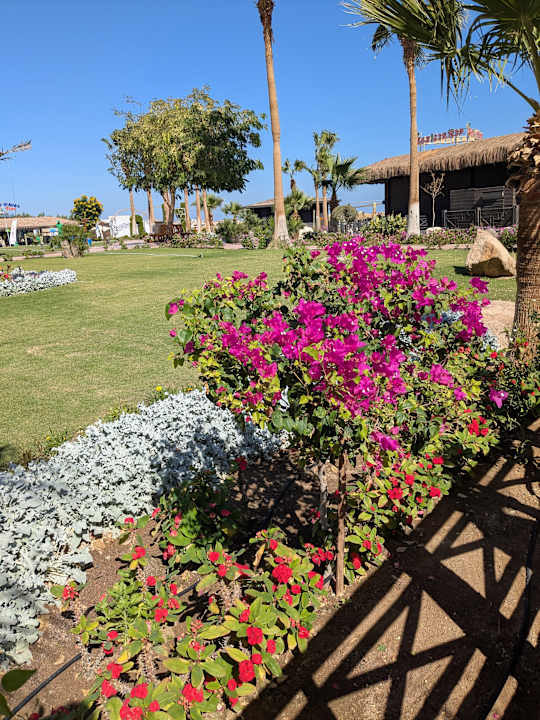 Gartenanlage Tropitel Sahl Hasheesh