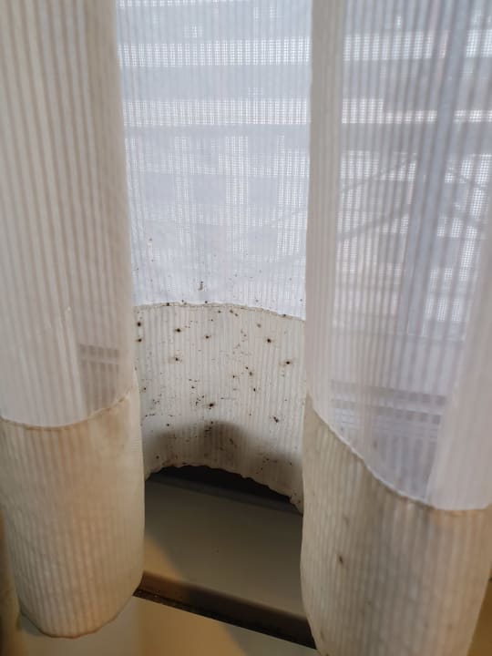 Zimmer The Hotel at Times Square