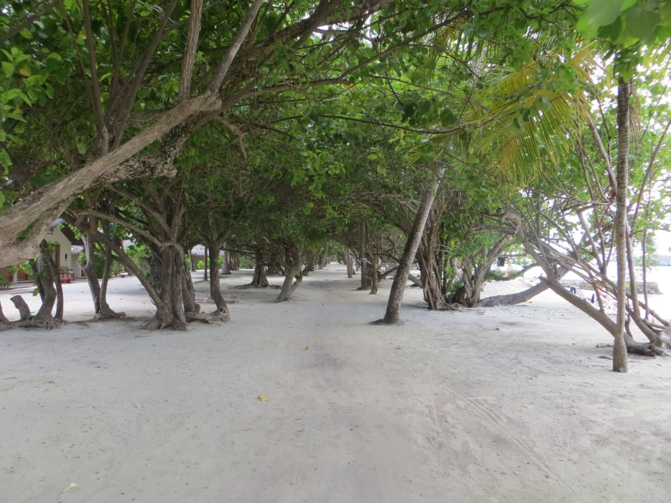 Unterwegs zwischen Strand und Bungalows Adaaran Select Hudhuran Fushi - Premium All Inclusive