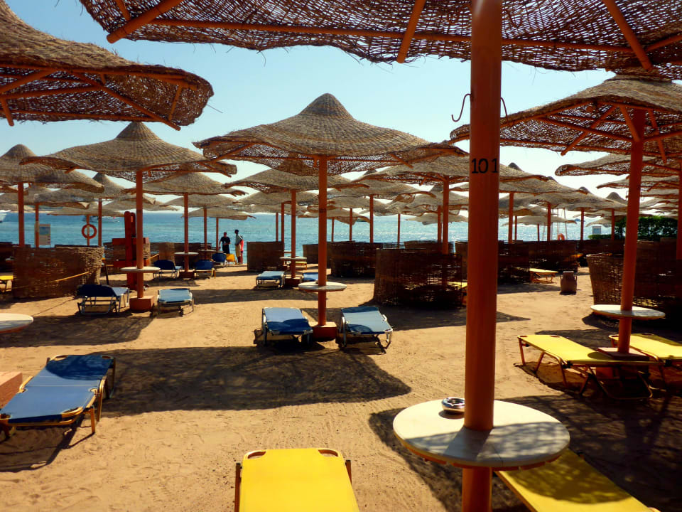 Strand (sehr leer, keine Handtuchreservierungen) Jaz Makadi Gardens - TUI BLUE Makadi Gardens - Adults Friendly 16 Years Plus