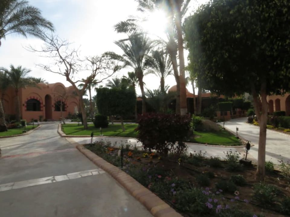 Gartenanlage Jaz Makadi Oasis Resort