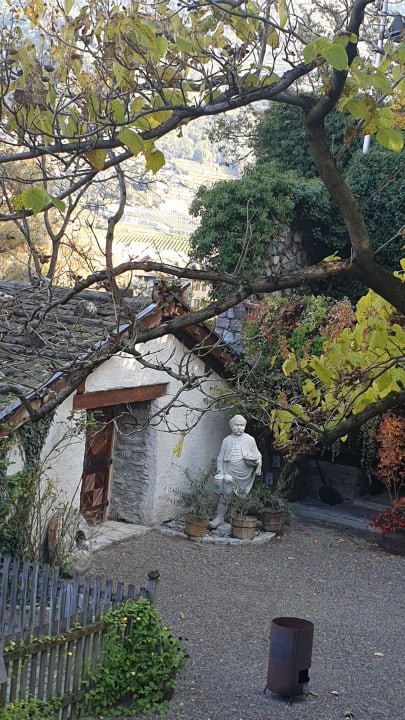 Ausblick Schlosswirt Forst