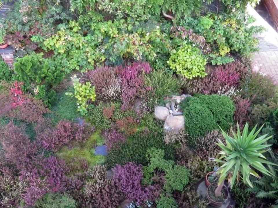 Heidergarten vor dem Ferienhaus Ferienwohnung Genetzkie