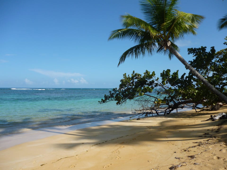 Ein Traum Bahia Principe Grand El Portillo