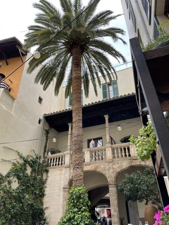 Gartenanlage Hotel Tres