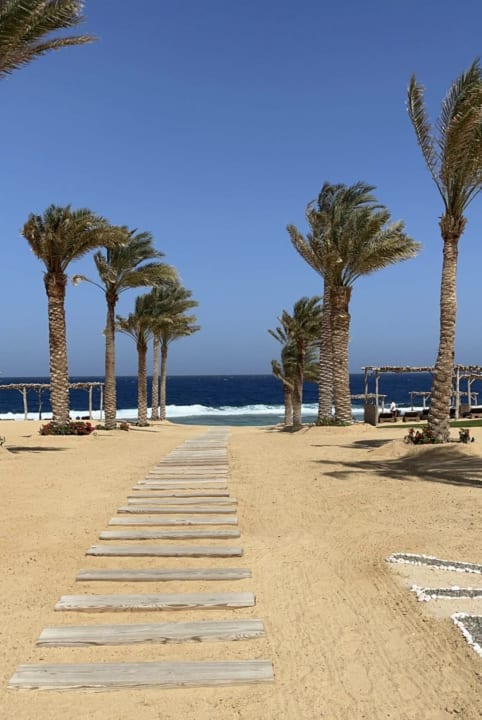 Strand Steigenberger Resort Alaya Marsa Alam - Red Sea - Adults only