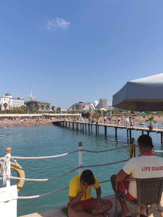 Strand Royal Seginus