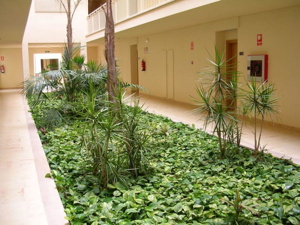 Haus 1 Zafiro Mallorca