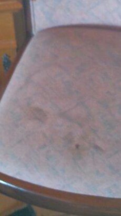 Stuhl Sonnenmatte-Titisee B+B Hotel Guesthouse