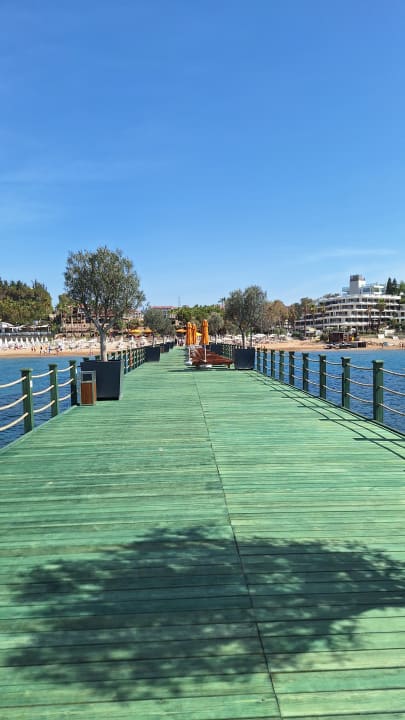 Strand Arum Barut Collection