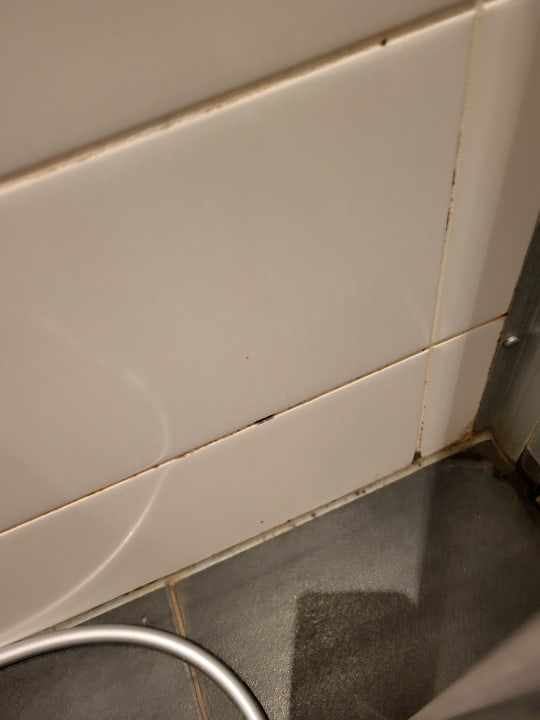 Zimmer Ferienpark Hof van Saksen