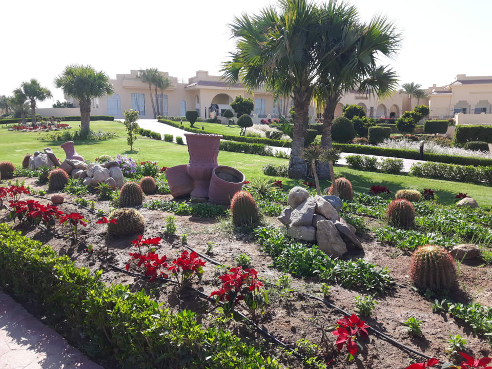Gartenanlage Cleopatra Luxury Resort Makadi Bay