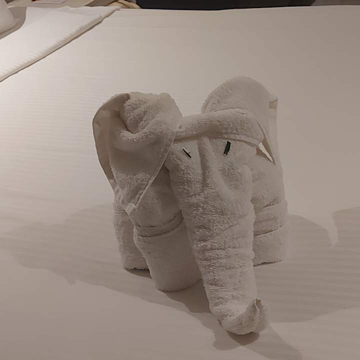 Zimmer Earl’s Reef Beruwala