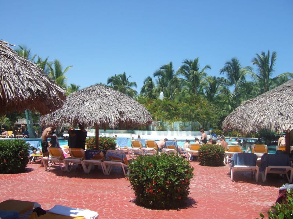 Liegeberich Pool Catalonia Punta Cana - All Inclusive