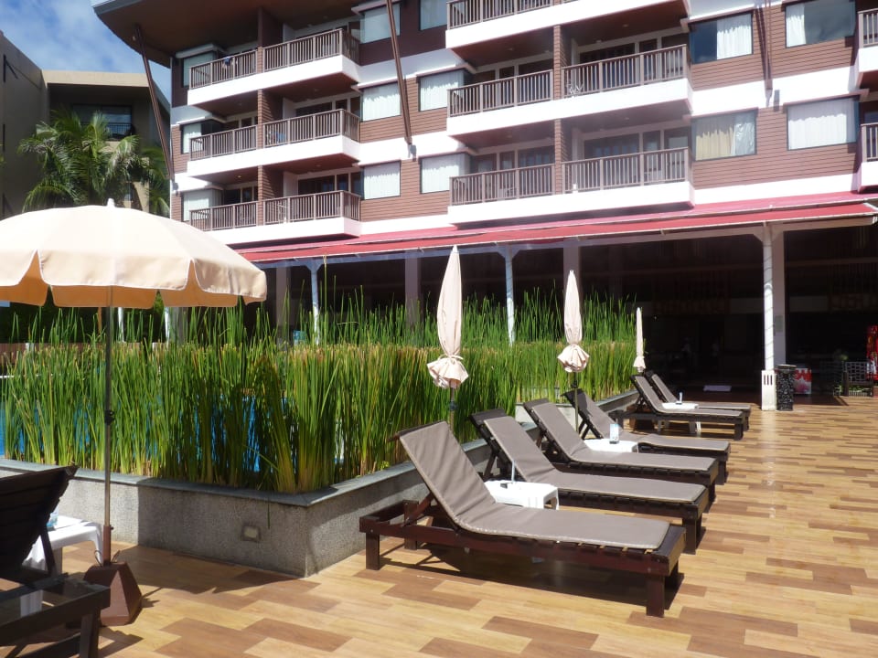 Peach Blossom Hotel Peach Blossom