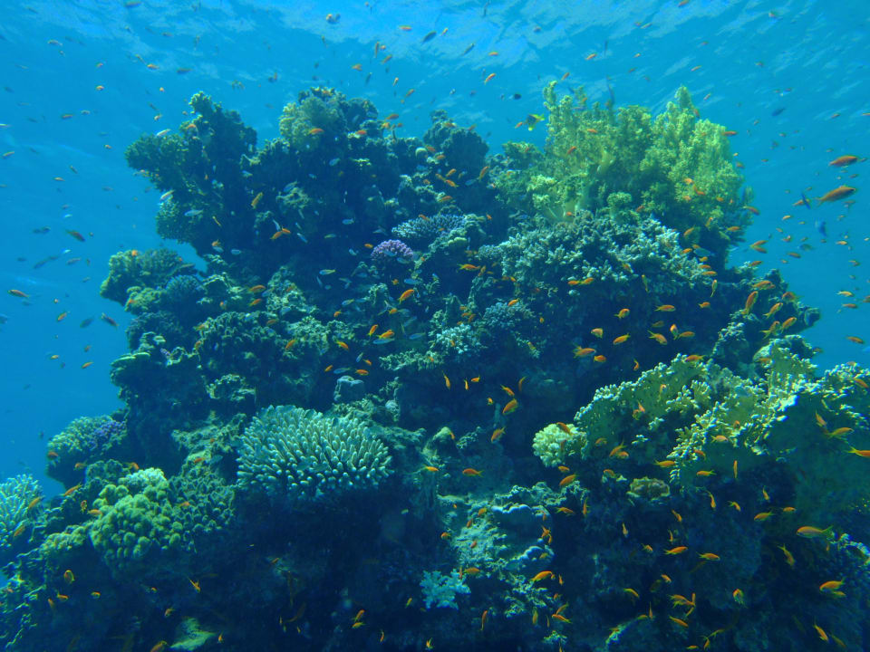 Rafa przy hotelu Happy Life Village