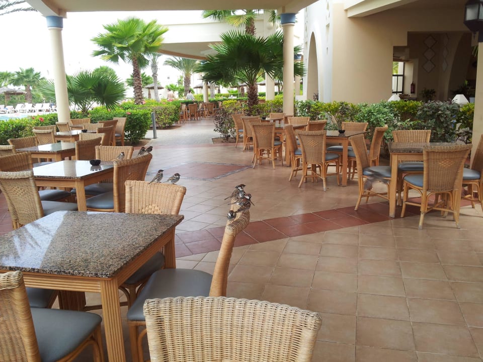 Stühle nicht oben anfassen  Hotel Riu Karamboa