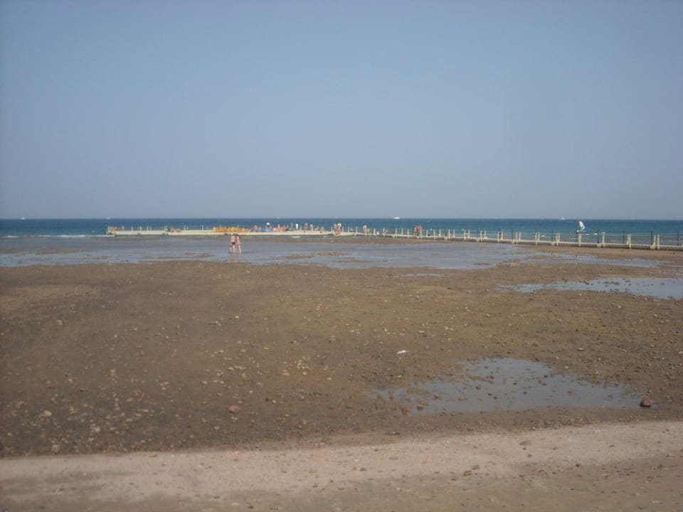 Унылый вид с пляжа Pickalbatros Palace Resort